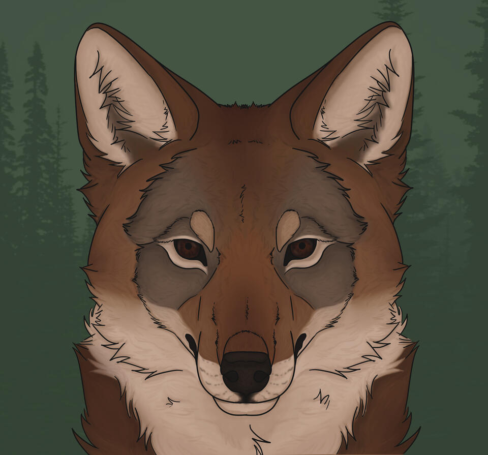 Easter Coyote Art
